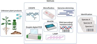 Horizon scan of DNA-based methods for quality control and monitoring of herbal preparations